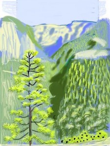 Hockney for LR landscp edtd4tlr