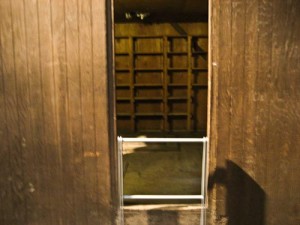 Unabomber cabin