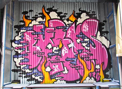 Munich pink graf tlr