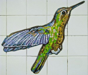 NYC Subway -81st st hummingbirdjpg