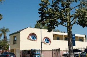 Dein wideshot school 4tlr