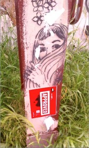 RS Veiled girl-ECHOPK 4tlr