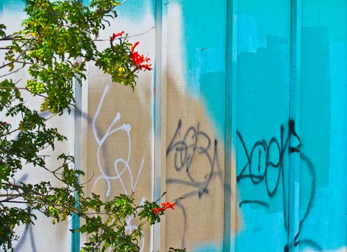 Wwheel graffiti turq