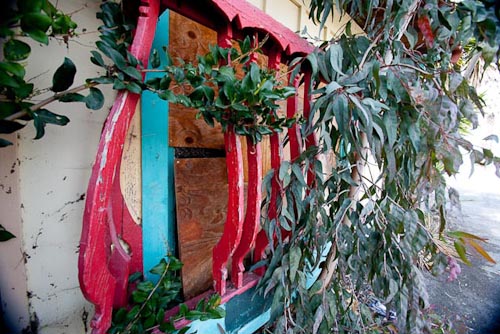 wwheel Red door leaves 4tlr