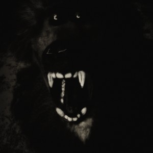 Lori_Pond_BABOON-2