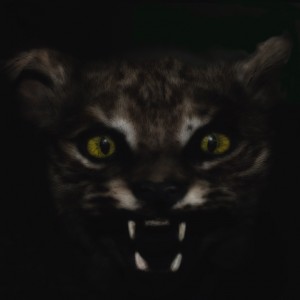 Lori_Pond_CAT